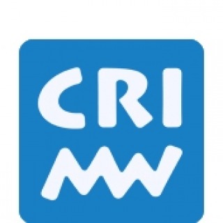 CRI Middleware 透露将重点关注 iPhone